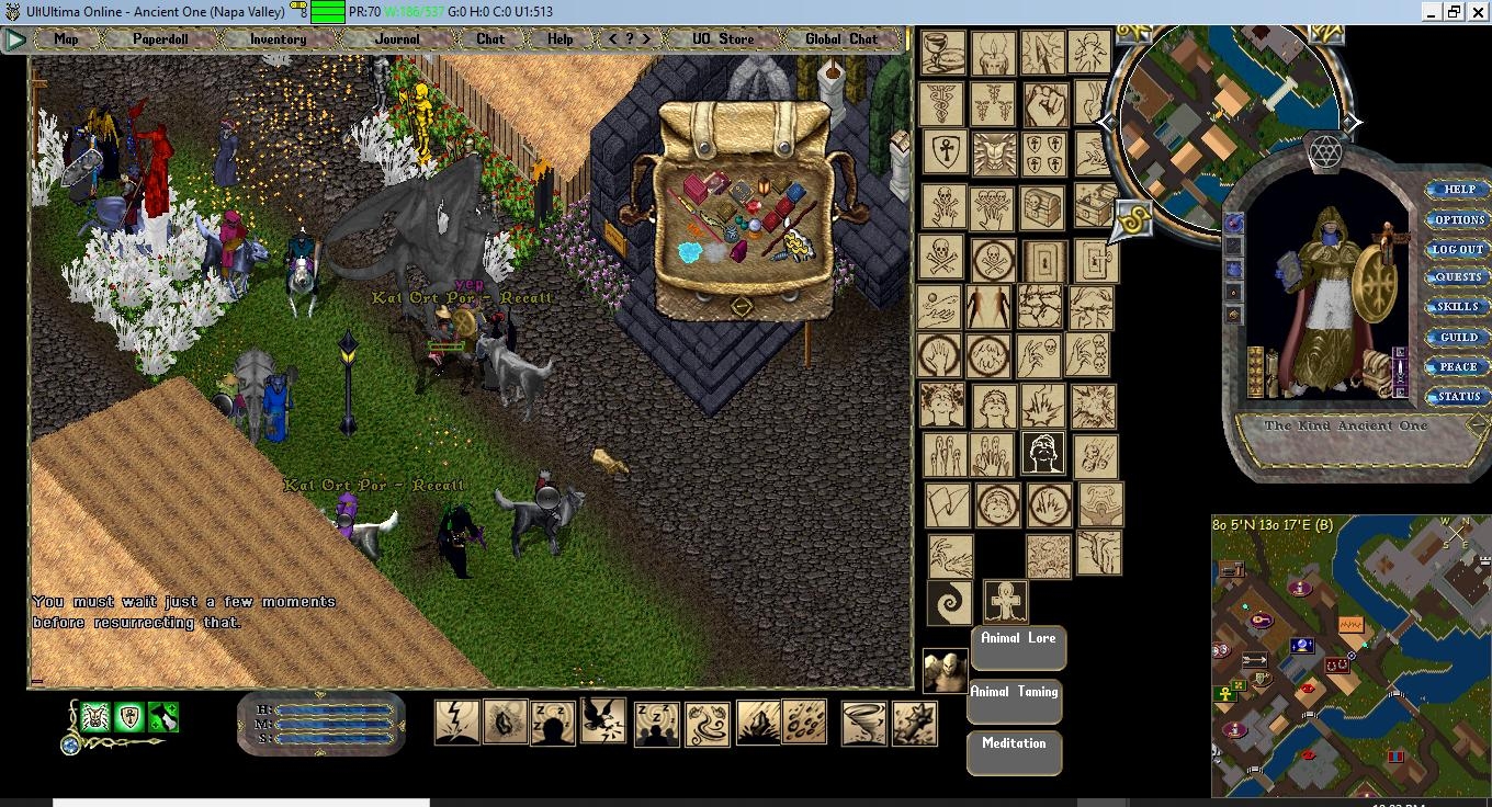 Bleak, the question someone asked tonight at the M&G about the weird  Chinese character door glitch - Ultima Online Forums